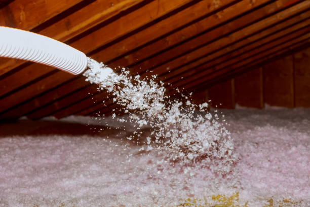 Best Specialized Insulation Services in Prairie Grove, AR