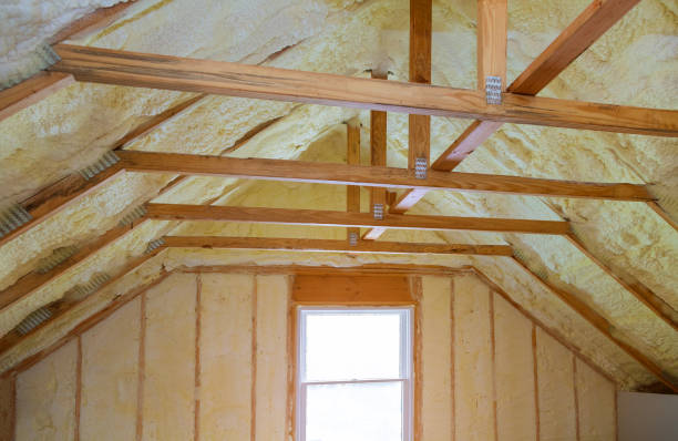 Best Residential Insulation in Prairie Grove, AR