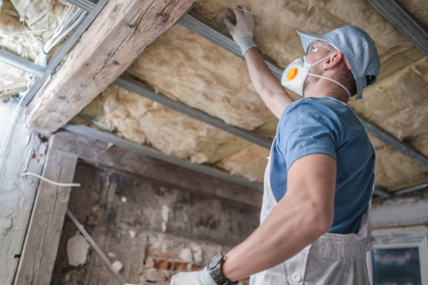 Best Insulation Maintenance and Repair in Prairie Grove, AR