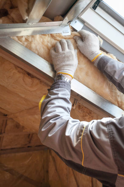 Best Blown-in Insulation in Prairie Grove, AR