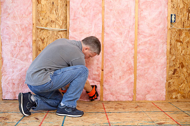 Best Spray Foam Insulation in Prairie Grove, AR
