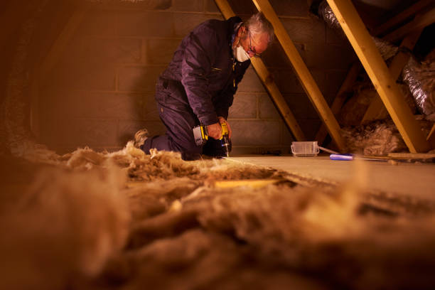 Best Cellulose Insulation in Prairie Grove, AR